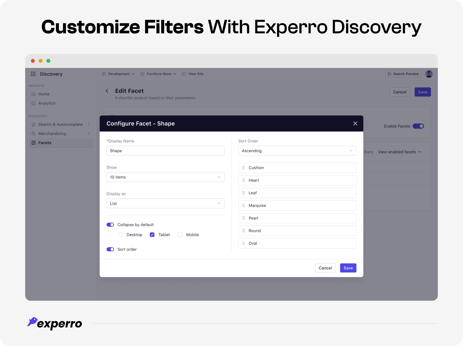 customize filters and facets with Experro