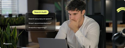 eCommerce Search Audit