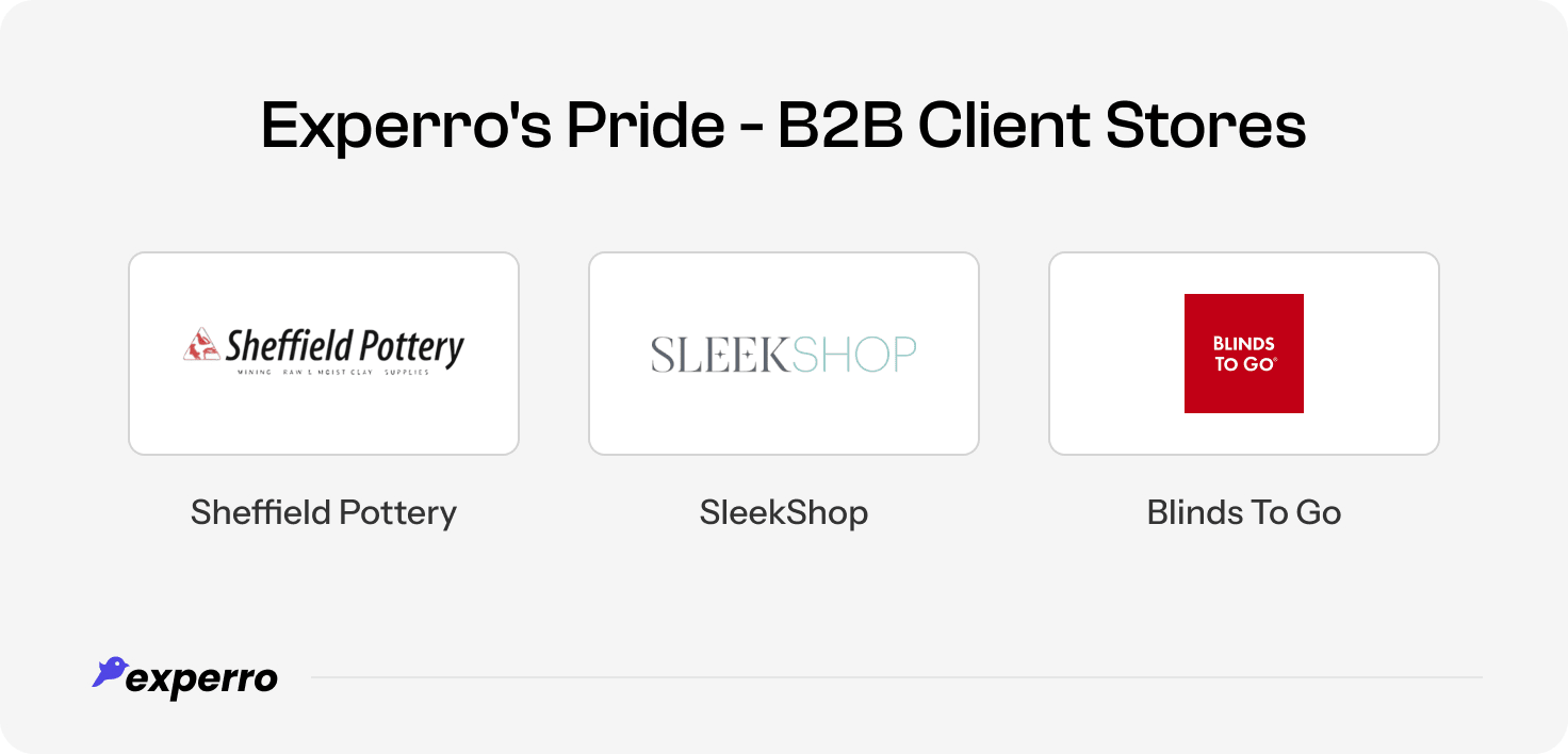 Experro Delivers the Best AI Solutions to B2B Stores Experro Delivers the Best AI Solutions to B2B Stores