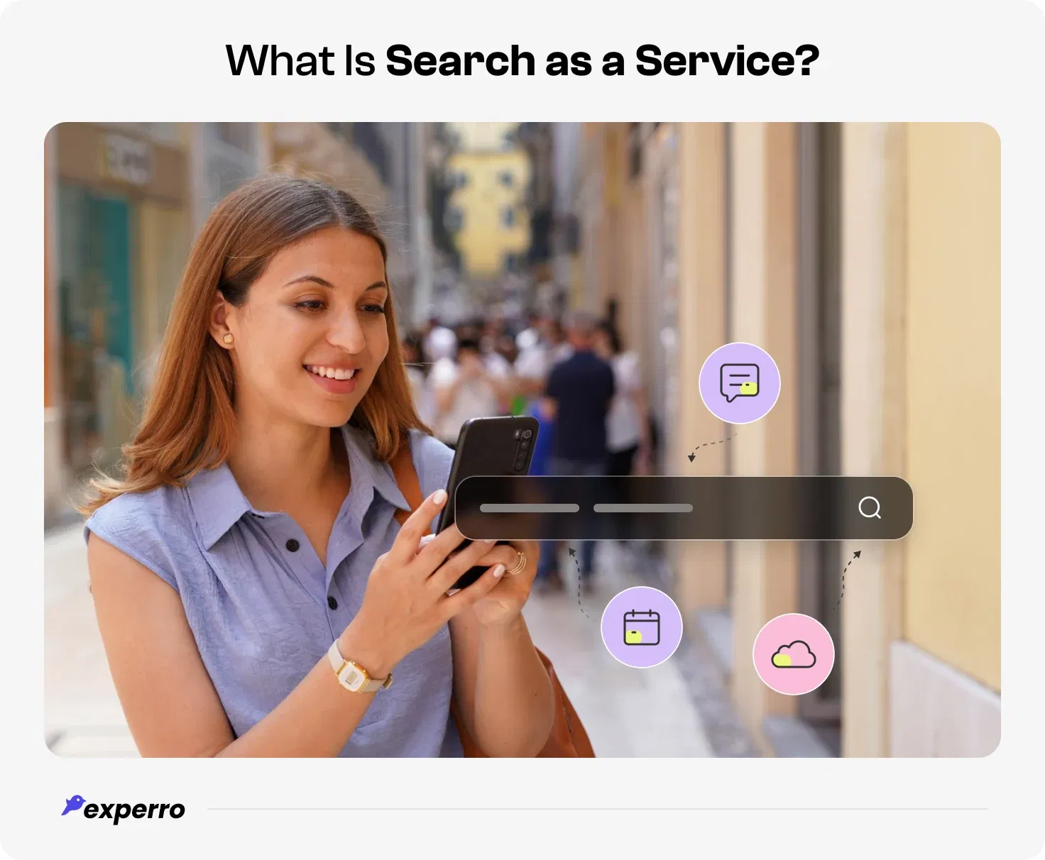 Meaning of search as a service solution