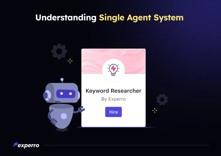 Meaning of Single Agent Systems Meaning of Single Agent Systems