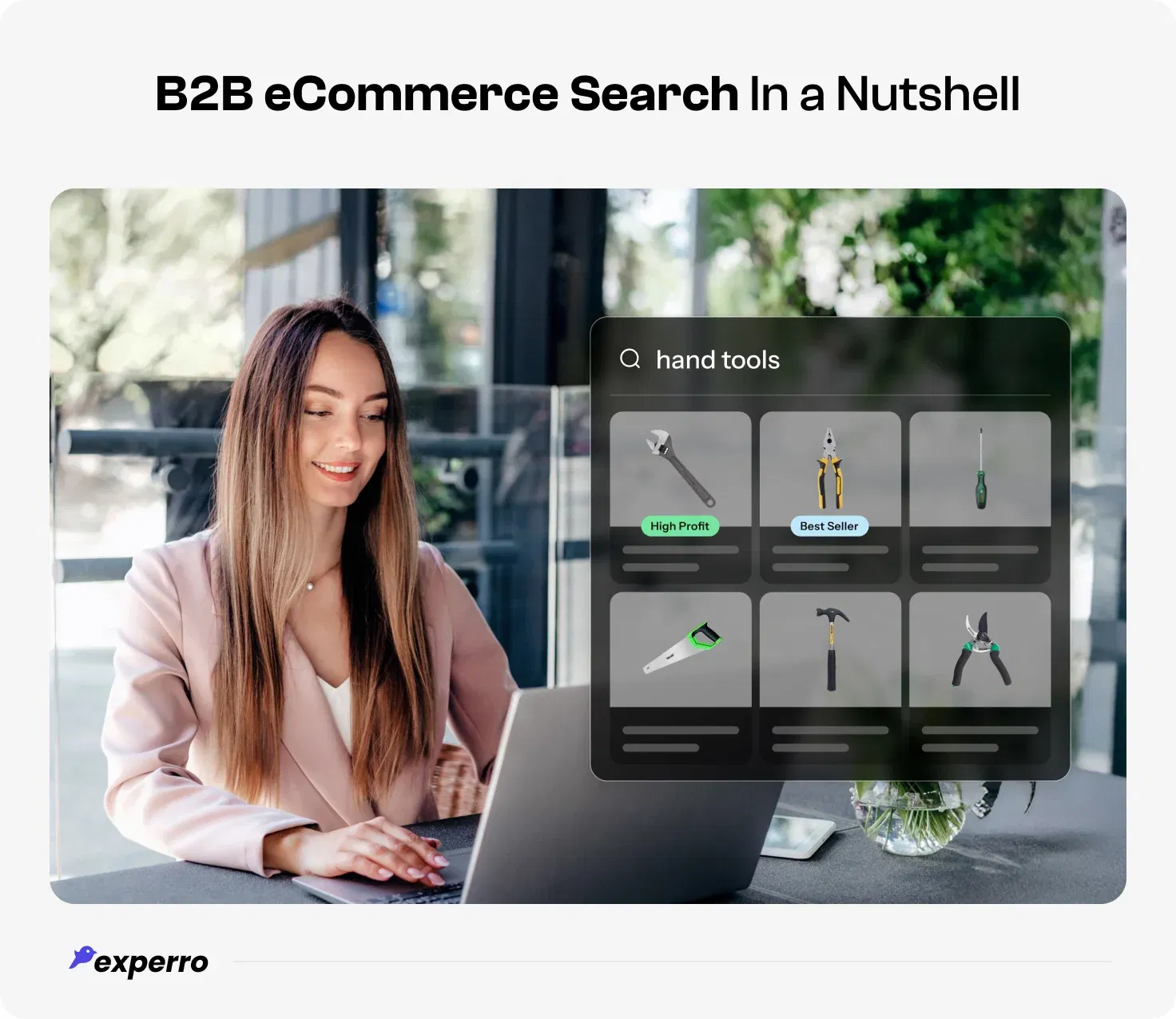 Overview of B2B eCommerce Search