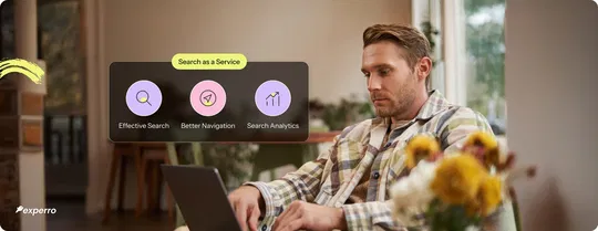 Search as a service necessary for e-stores
